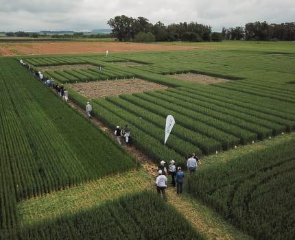 Trabajo de campo